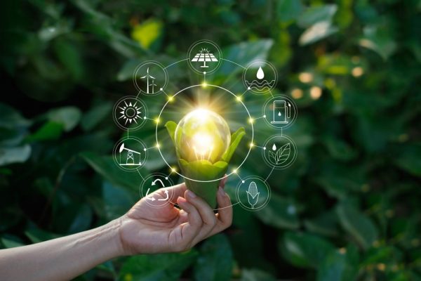 How To Become A Carbon Neutral Business with Smart Lighting Systems