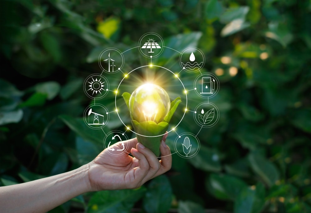 Read more about the article How To Become A Carbon Neutral Business with Smart Lighting Systems