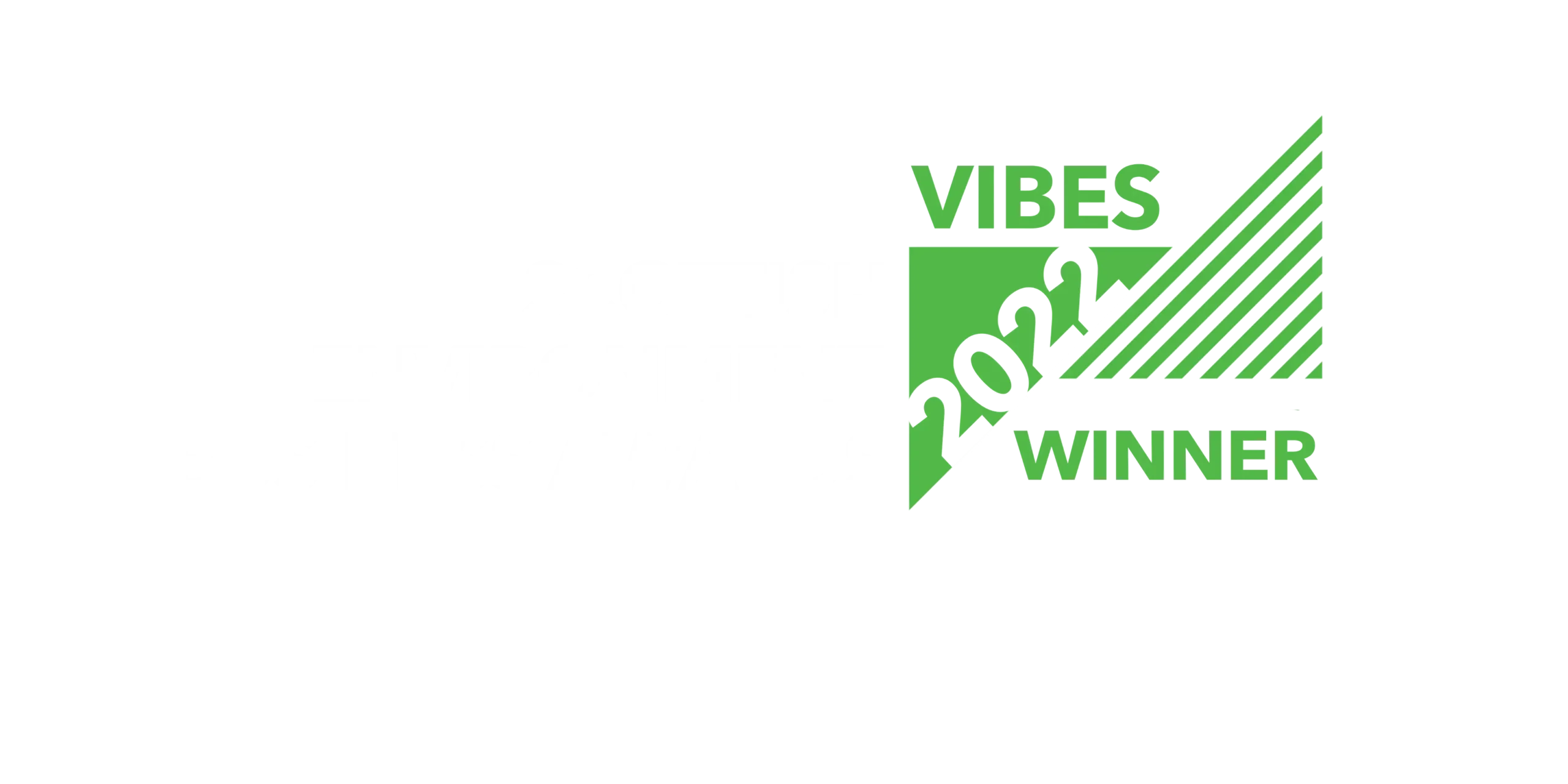 EGG Lighting VIBES small business award winner